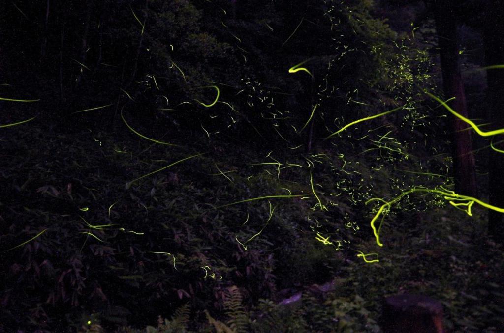 Hamamura Onsen Totoya Tottori Bagian luar foto